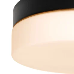 Runde LED Deckenleuchte Glas Metall IP44 Ø24 cm 18 W