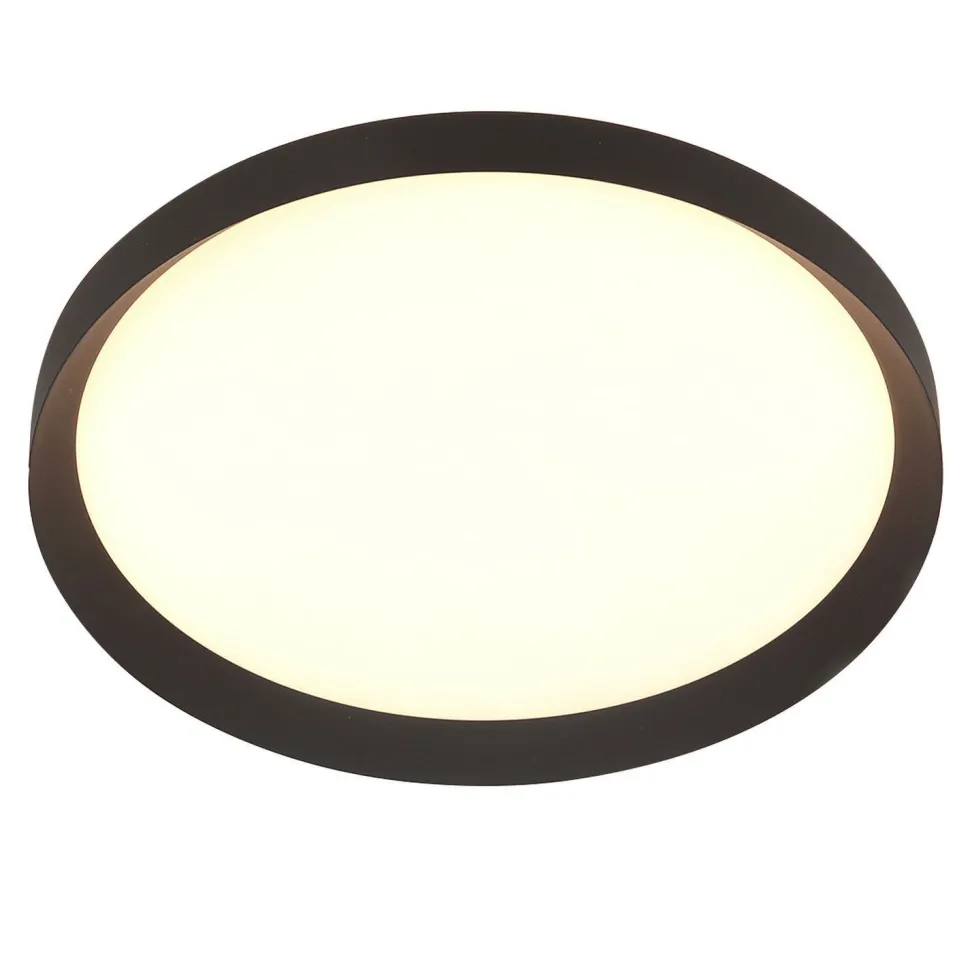 Runde LED Deckenleuchte Schwarz Weiß 2700 K Ø50 cm