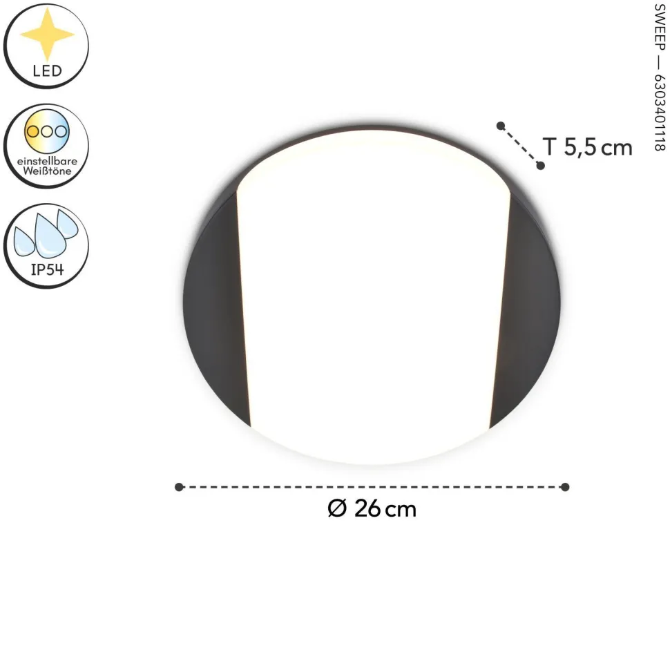 Runde LED Wandleuchte Anthrazit IP54 3000/4000 K Ø26 cm
