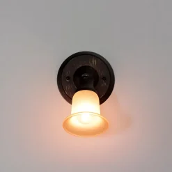 Rustikaler Wandspot Glasschirm E14