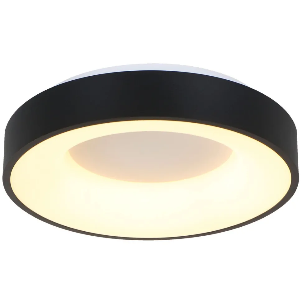 Schwarze LED Deckenlampe Metall Kunststoff 40 W 2700 K