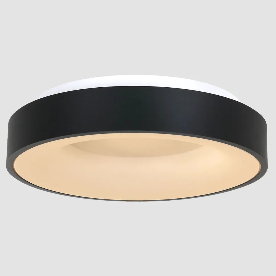 Schwarze LED Deckenlampe Metall Kunststoff 40 W 2700 K