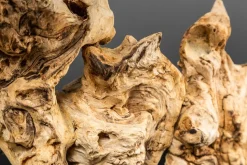 Treibholz Tischlampe PECIOS Modern Design Unikat