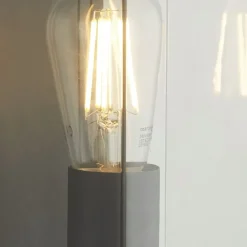 Wandleuchte außen IP44 Grau H: 27 cm E27 Aluminium