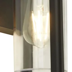 Wandleuchte außen Schwarz matt Klar IP44 H: 27 cm