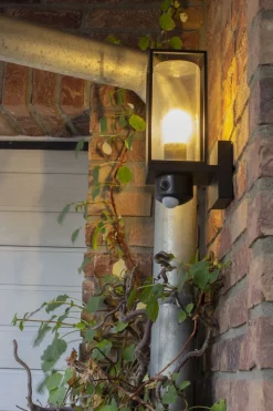 Wandleuchte mit Bewegungsmelder Aluminium Glas Schwarz