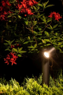 Wegeleuchte IP54 Schwarz GU10 55 cm Glas Aluminium schwenkbar